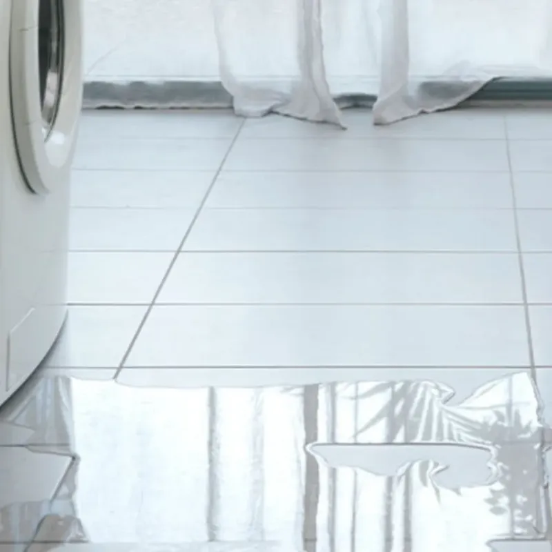 Appliance Leak Cleanup in Grasonville, MD